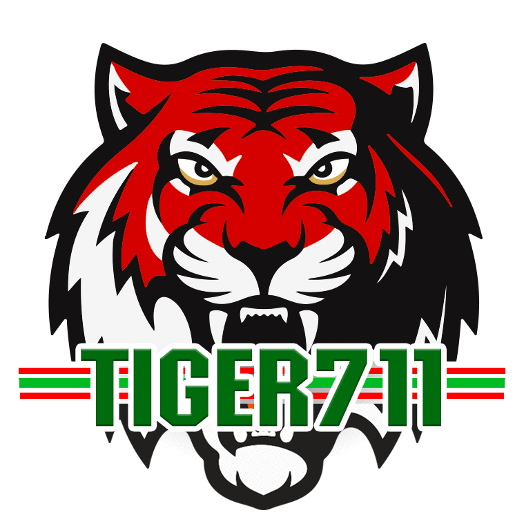 TIGER711 สล็อตเว็บตรง ฝากถอนออโต้ เครดิตฟรี ไม่ผ่านเอเย่นต์